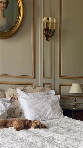 13K views · 1.9K reactions | DORMIRE CON UN CANE #maltipoo #dog | Maltipoo Mia | Facebook