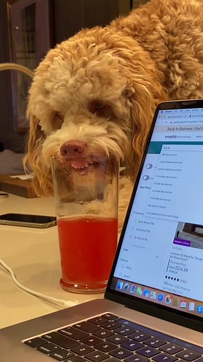 Sophia Stallone Book and American Horror Story: Next Season Teaser