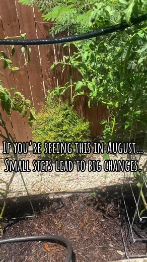 thegrimpapa on TikTok