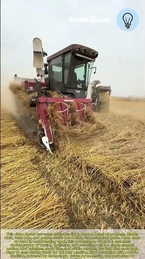 From Tradition to Innovation The New Face of Agriculture: Efficient Rice Harvester machinery.