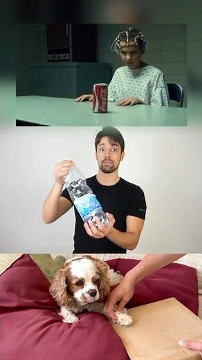 Stranger Things sound effects!