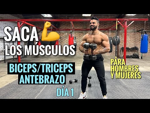 Rutina de BRAZOS entrena tus Bíceps Tríceps y Antebrazos (25 Min) Ejercicios para SACAR LOS MUSCULOS