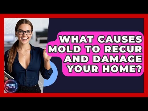 What Causes Mold To Recur And Damage Your Home? - Get Rid Of Guide