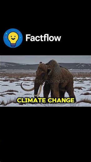 What Really Killed the Mammoths