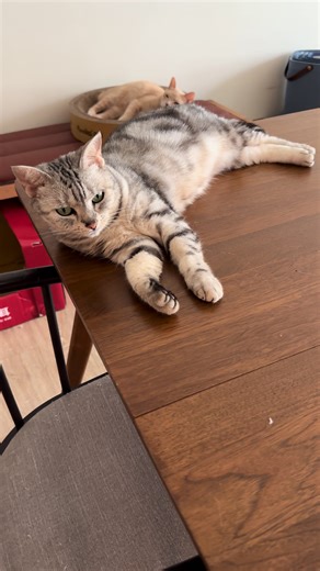 yu-chun wang on TikTok