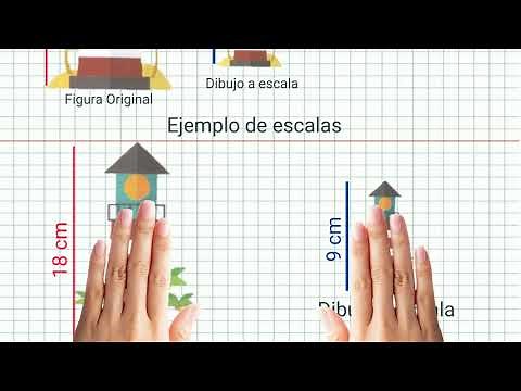 Reducción y escalas.pptx