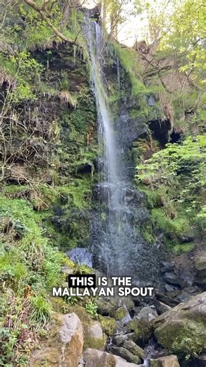 Come with @theyorkshirerose_ of the most beautiful walks in the North York Moors, past rolling views, through winding woodland and to the biggest waterfall in the National Park 🌳🐑 🌊🌿 Get this loop on your summer walking list 👇 📍: Goathland 📷 : @theyorkshirerose_ #NorthYorkMoors #NationalPark #Goathland #Waterfall | North York Moors National Park