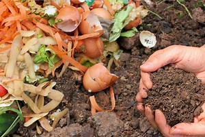 How to Set Up and Use a Bokashi Bucket for Indoor Composting
