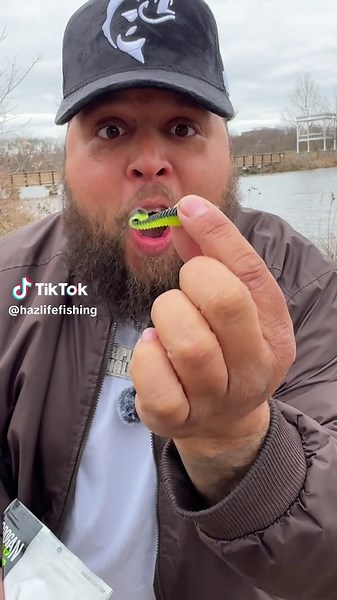 Effective Presentation Tips for Engaging Bait