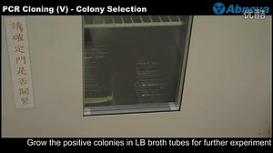 PCR完整流程演示，简单易懂，一学就会！