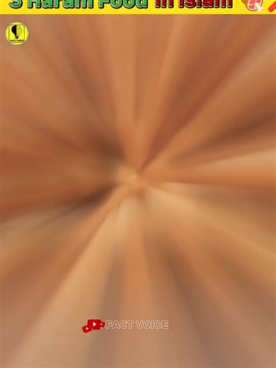 TikTok Video Download Guide