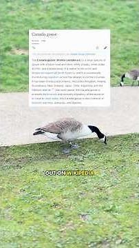 Uncovering secrets of the United Kingdom's largest city, one Wikipedia article at a time.