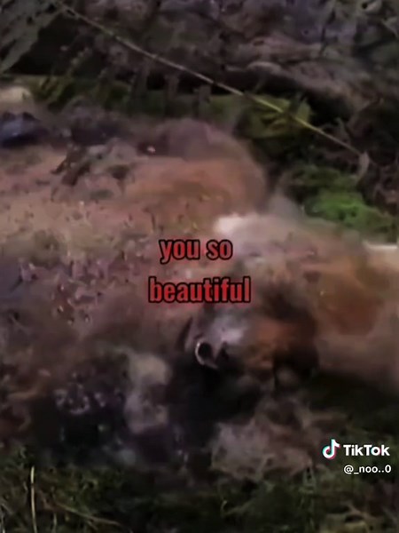 Exploring Yandere Horror Elements in Media