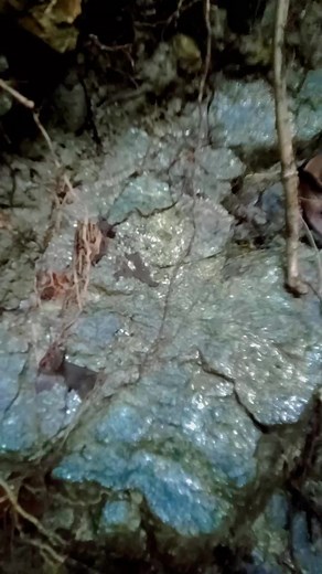 Pyrite rocks are everywhere, what does this signify? | RP Outdoors & Bushcraft