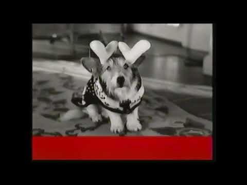 US Priority Mail Commercial 1999