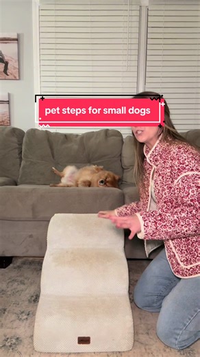 Essential Pet Stairs for Small Dogs: Home Upgrade
