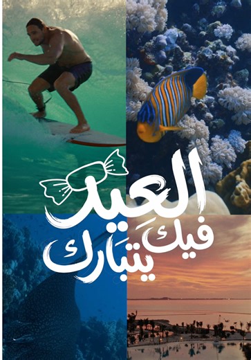 العيد فيك يتبارك: عروض البحر الأحمر المجانية