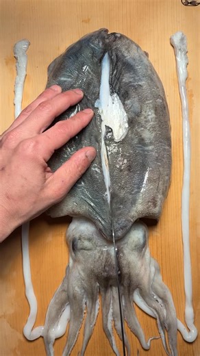 Chef Suu『-紬-Tsumugi』 on Instagram: "Rosanjin play "Sumiika"#cook #chef #japan #sushi #asmr"