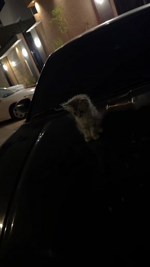 احتاج مصور يضبطني يعيال😞😂 #explorer #الشفا #تشارجر #fyppppppppppppppppppppppp #الرياض