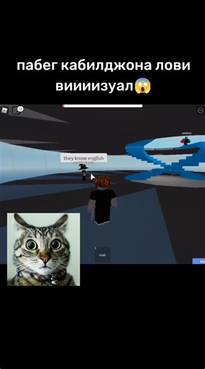 #pekora#roblox#exploit#knife#visual | Roblox