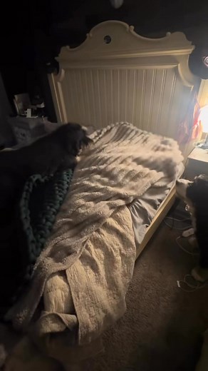 1K views | Who else has tried to badge into their own house?! #Nightshift #nightshiftnurse #nightshiftproblems | Arielle Love | Facebook