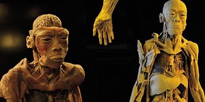 Todo sobre la Exposición “Bodies: Cuerpos humanos reales”