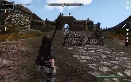 Skyrim Deadly Reflex Like Combat