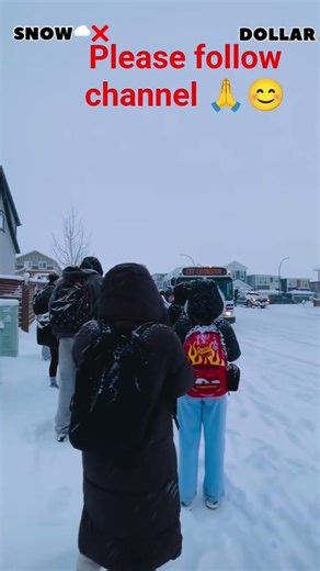 #punjabimusic #canada #canadalife #sonwfall