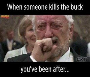 89K views · 776 reactions | Mojo TV on Reels | Facebook