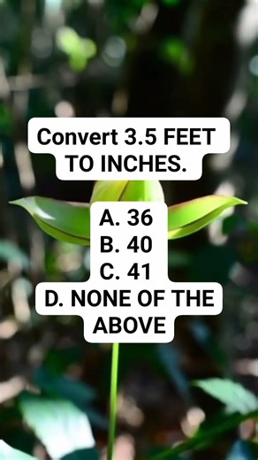 Math Contest #math #mathstricks