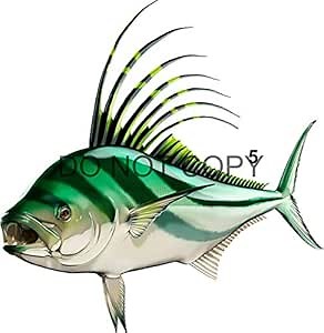 Rooster Fish Beautiful Fish Decal | Fishing Decal for Boat, Car, Vehicle, Truck Etc. | Waterproof Vinyl Sticker | Many Sizes & Styles Available | 12" to 40" by Digital Fish Art (Small, Position 5)