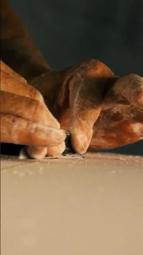 SOUNDS OF SHAPING - T&C Surf Designs