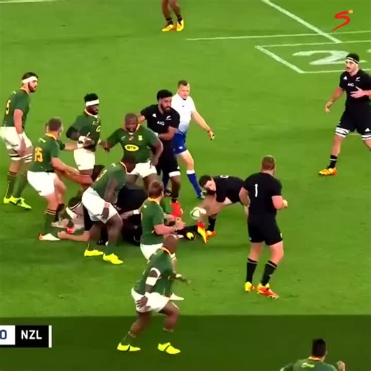 South Africa's Springboks Shine with Unforgettable Plays