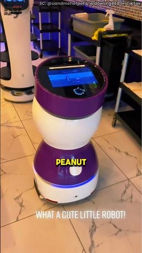 This robot is so cute❗🤖😂 #shorts #shortvideo