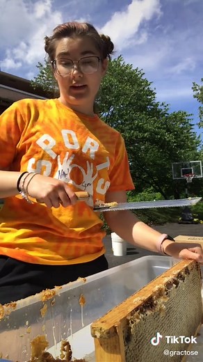 Beginner's Guide to Beekeeping: Beekeeping Lessons for Beginners