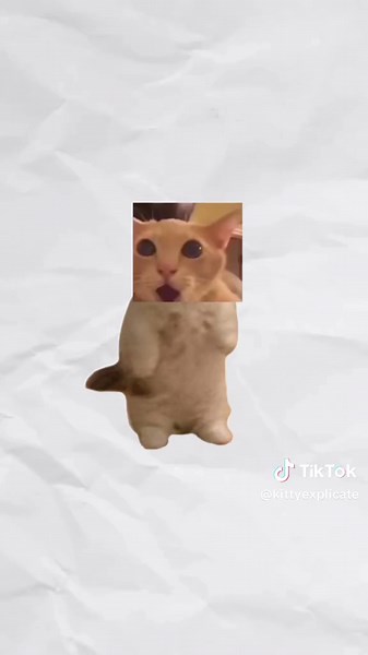 Dislexia Explicada com Gatos: Saiba Mais