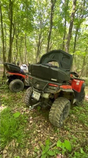 Gerçekten bu dünyada yaşıyomuyoz