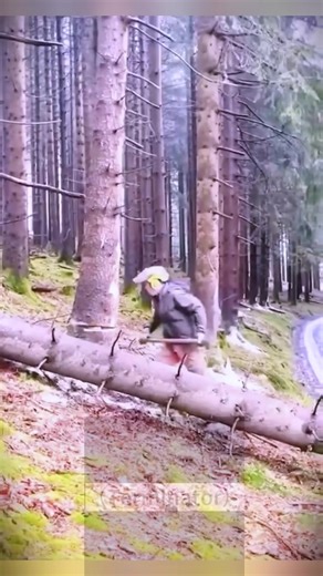 An interesting logging process#satisfyingvideos #foryour #fyp #Very #asmr #satisfyingvideo#satisfying #oddlysatisfying