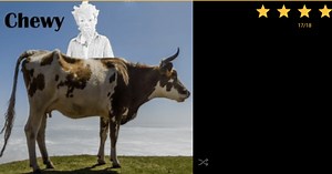 Downloade und starte MediaMonkey Pro auf PC & Mac (Emulator)