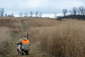 7 Signs You’re Going to Have a Bad Upland Bird Hunt