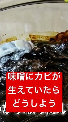 手作り味噌にカビが生えたらどうしよう💦 #miso #味噌 #カビ #mold #手作り味噌