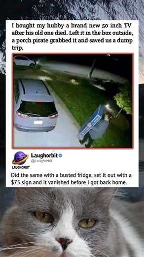 Free Trash Pickup Glitch | funny memes | relatable American memes | dank memes