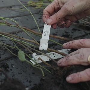 243 reactions · 55 shares | Of course you do! Join the thousands of schools and communities who’ve claimed theirs and grown a happy, healthy environment. | The Woodland Trust | Facebook