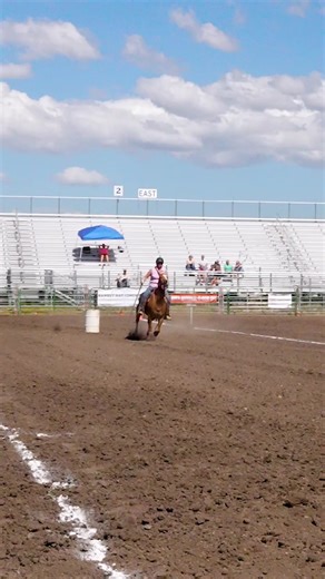 #nsca #fyp #omoksee #equestrian #westernmedia | Equestrian