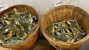 1.8K views · 98 reactions | Now we talking !!!! Beautiful crabs | Decatur's Crabs | Facebook