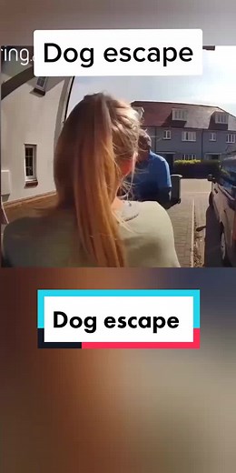 user35712238530 on TikTok