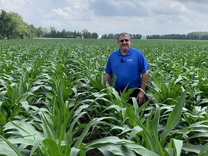 Corn School: Fungicide timing and tank-mix strategies to protect yield and quality