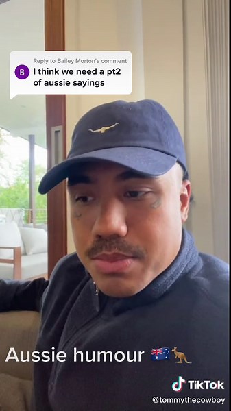 Understanding Aussie Humour: Metaphors, Wittiness, and Smartass Remarks