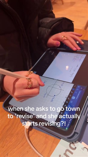 Revising Together: Study Plans for A-Level Success