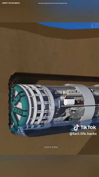 Amazing Fack and life hacks video ‎#factvideos #fact #facts